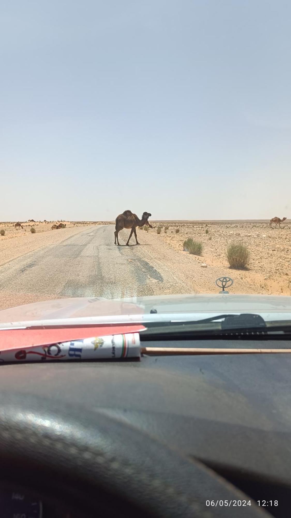 Dar Lagune Djerba Vue De Mer Al Haddadah Zewnętrze zdjęcie