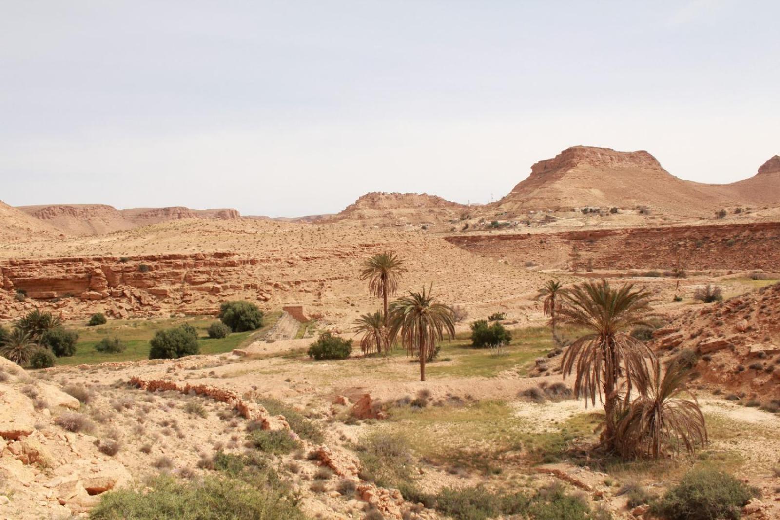 Dar Lagune Djerba Vue De Mer Al Haddadah Zewnętrze zdjęcie
