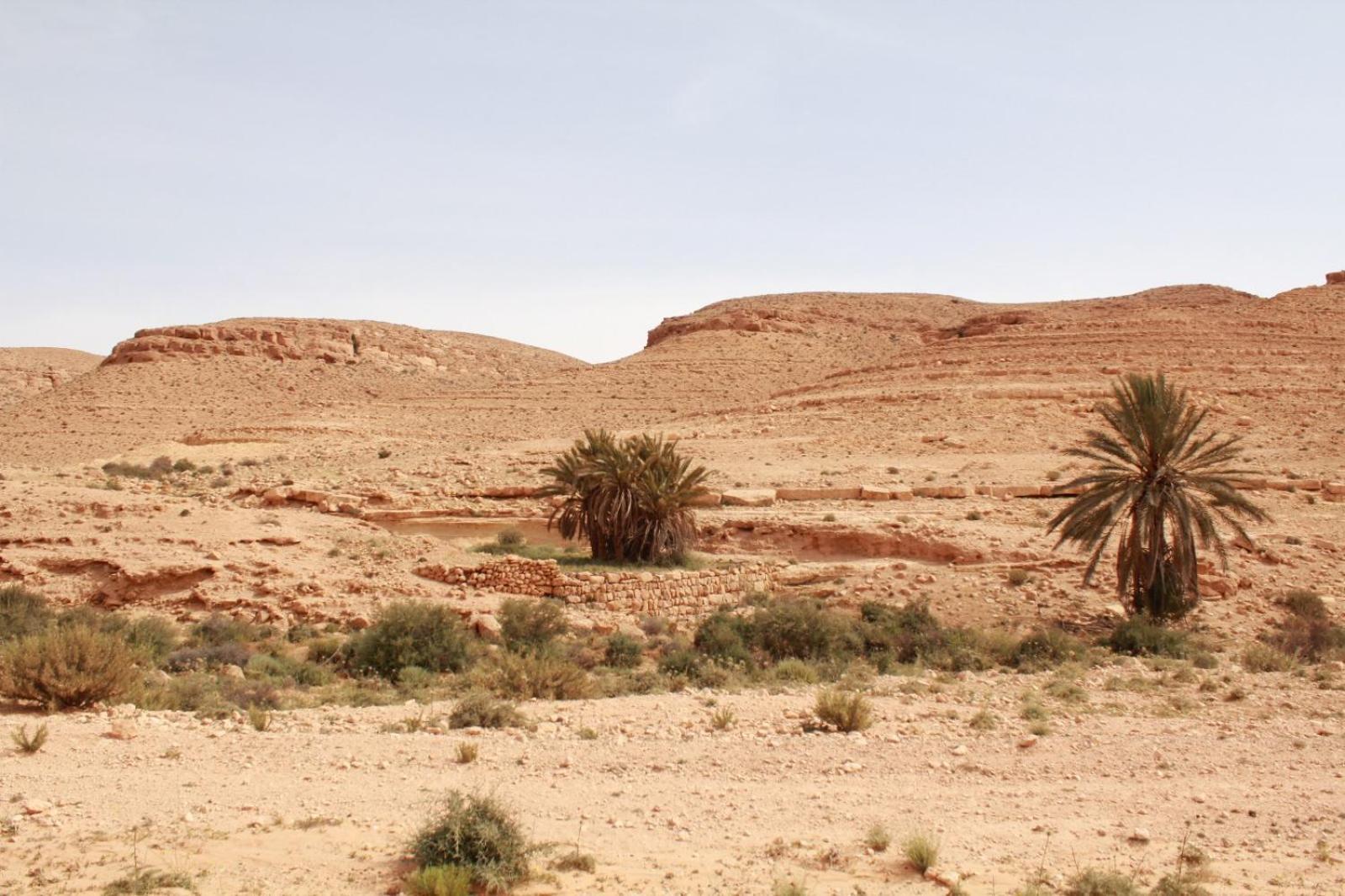 Dar Lagune Djerba Vue De Mer Al Haddadah Zewnętrze zdjęcie