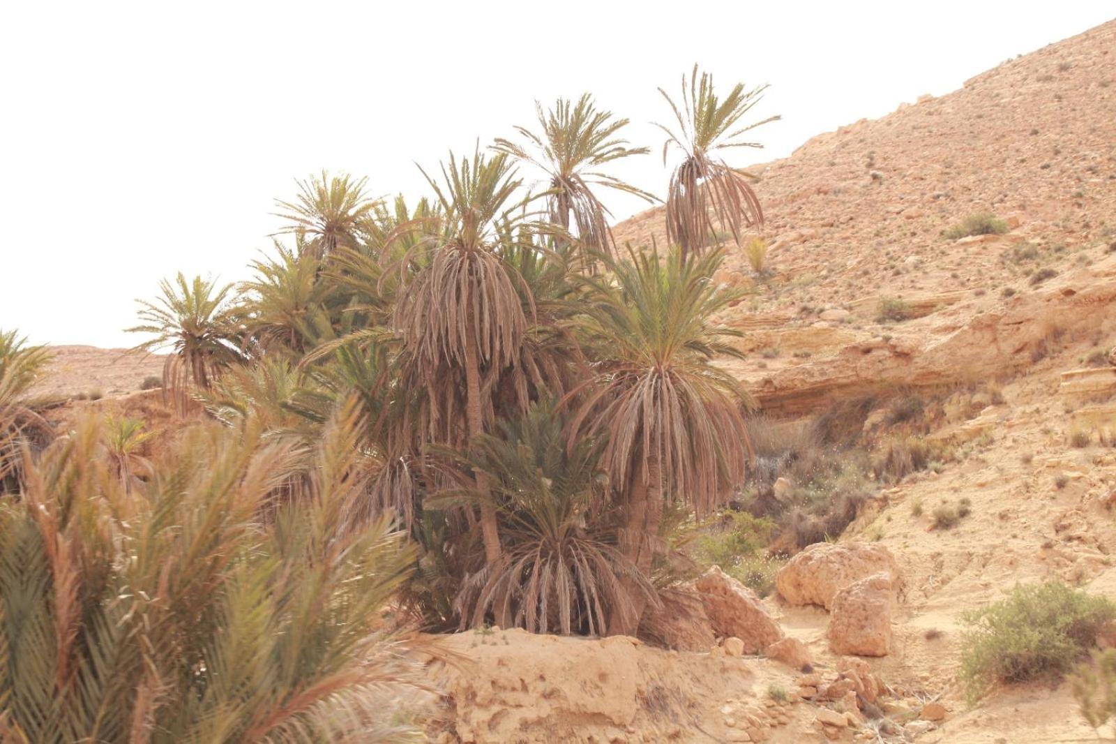Dar Lagune Djerba Vue De Mer Al Haddadah Zewnętrze zdjęcie